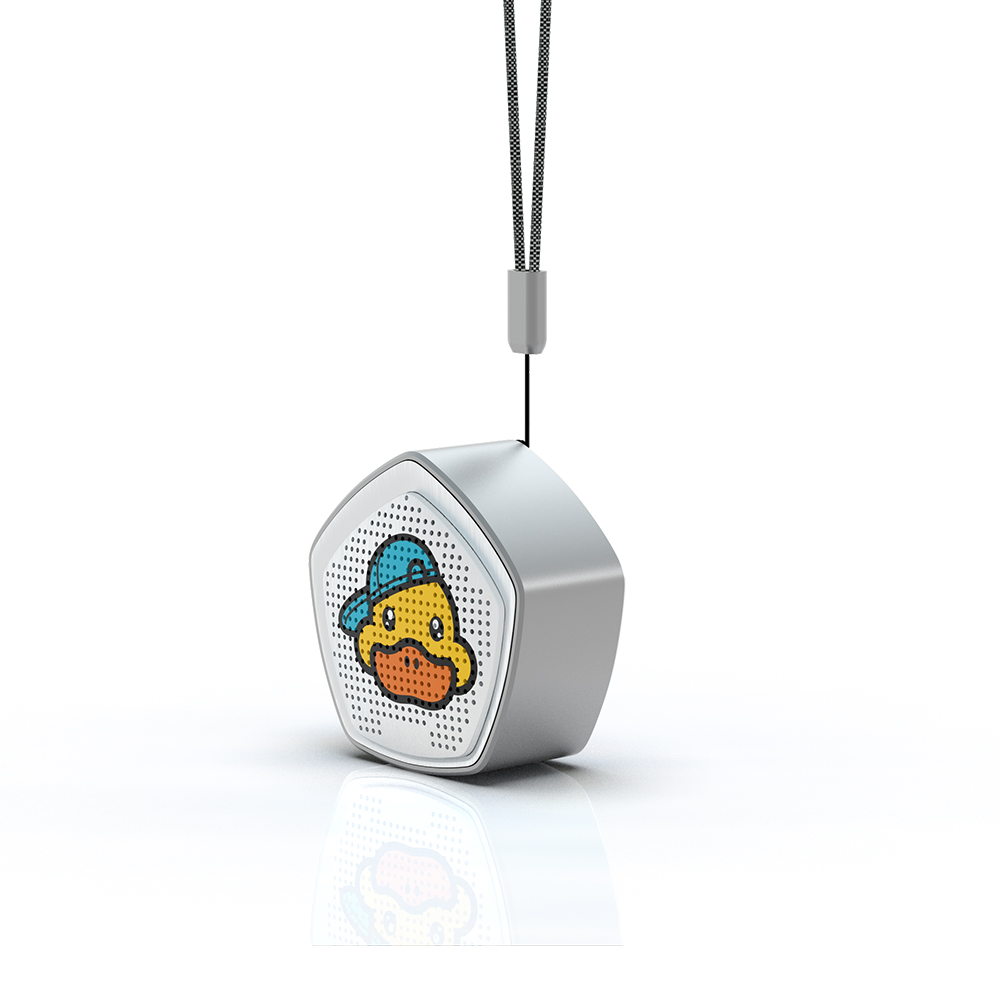 Portable Audio System